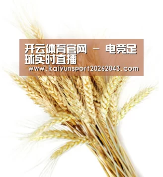 开云体育官网 - 电竞足球实时直播
