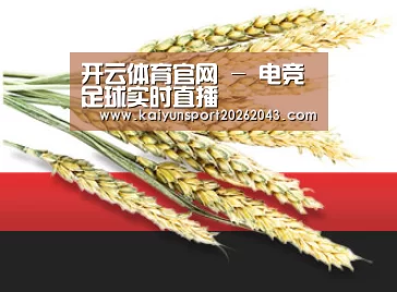 开云体育官网 - 电竞足球实时直播