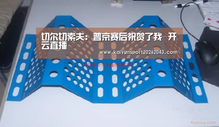 切尔切索夫:普京赛后祝贺了我-开云直播(图1) 开云官网